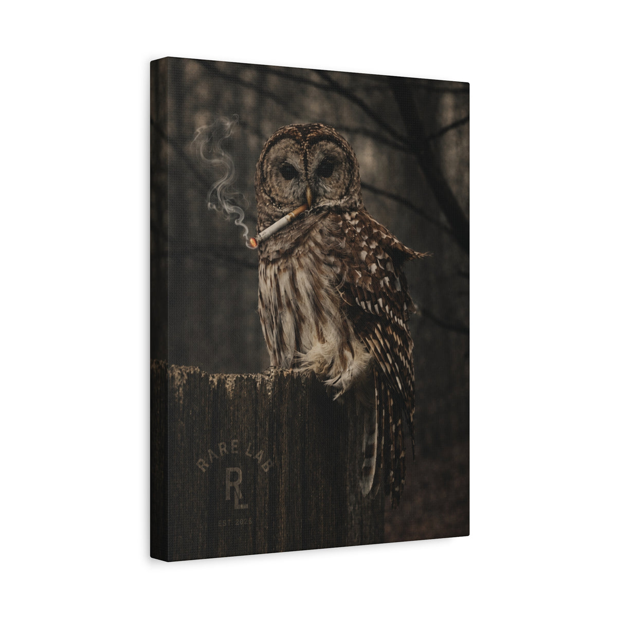 Rare Lab Smoke & Stillness matte canvas: a barred owl on a weathered post with a thin trail of smoke against the dark