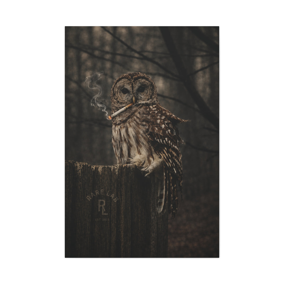 Rare Lab Smoke & Stillness matte canvas: a barred owl on a weathered post with a thin trail of smoke against the dark