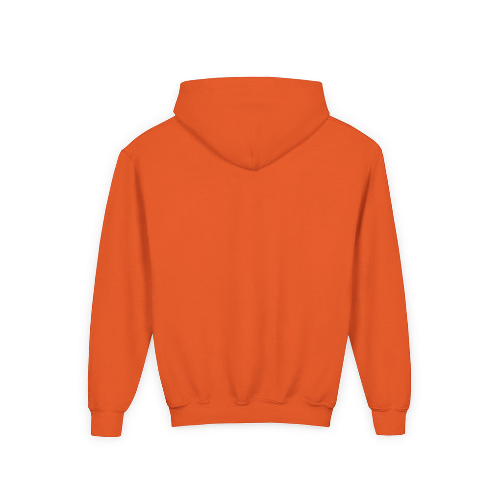 Rare Lab youth hoodie: small Rare Lab owl logo on the chest