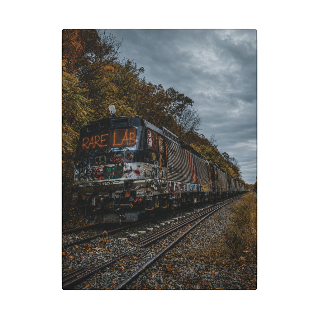 Rare Lab Graffiti Train canvas: a graffiti-covered train under a brooding sky with golden autumn trees