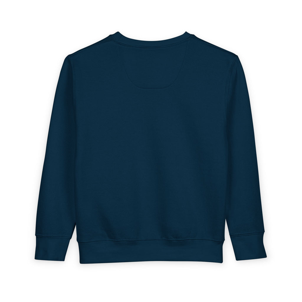 Rare Lab Brush Stroke toddler sweatshirt: Rare Lab script across the chest