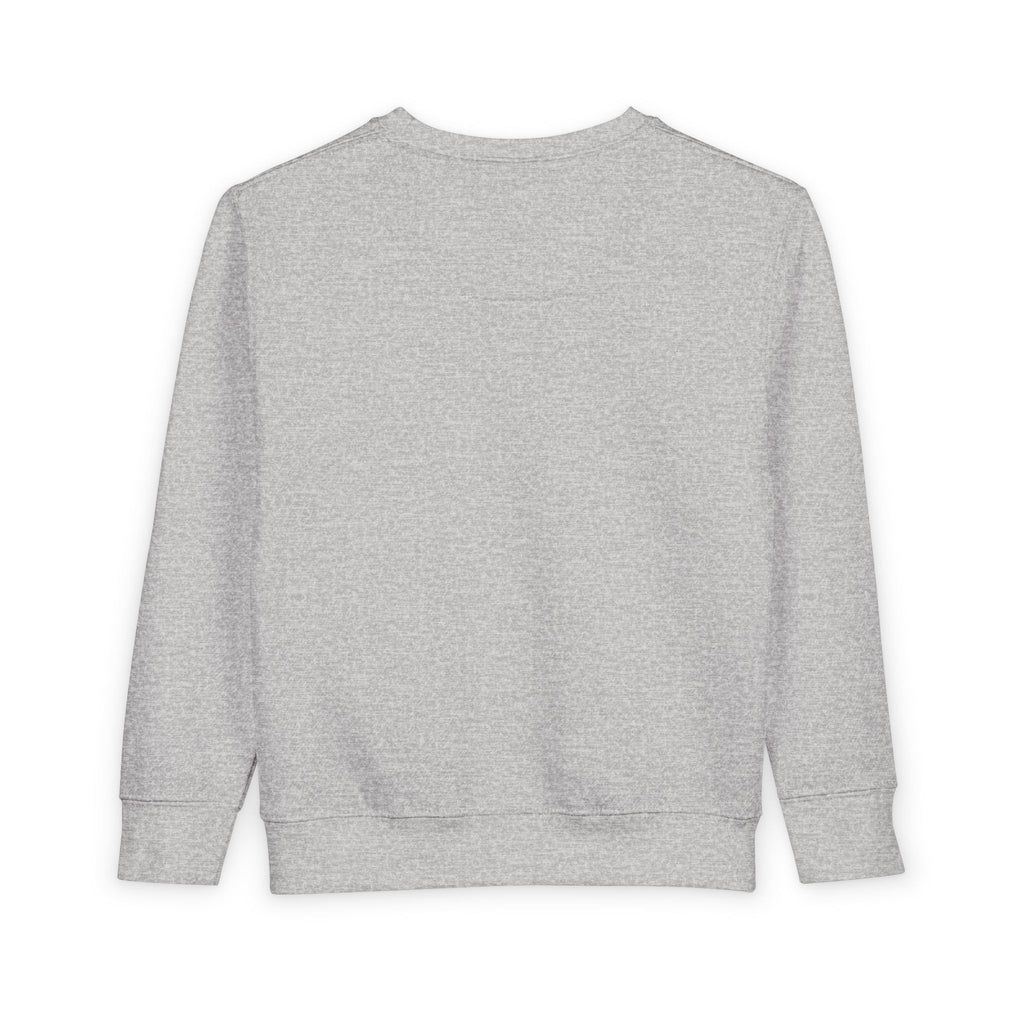 Rare Lab Brush Stroke toddler sweatshirt: Rare Lab script across the chest