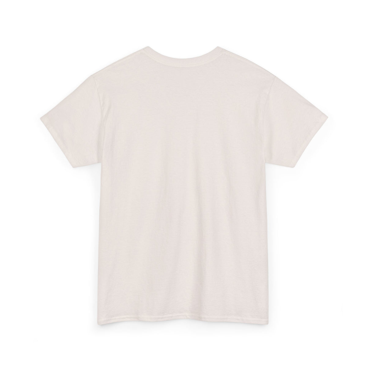 Rare Lab Brush Stroke American Flag tee: faded brush stroke logo in flag colors across the chest