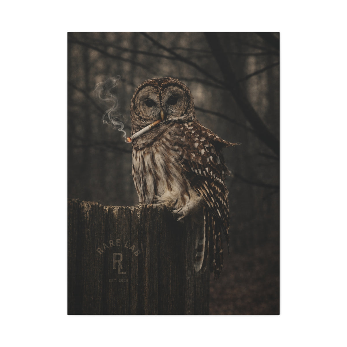 Rare Lab Smoke & Stillness matte canvas: a barred owl on a weathered post with a thin trail of smoke against the dark