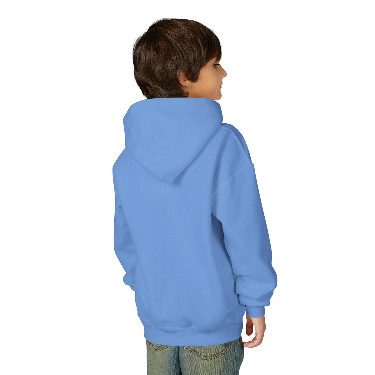 Rare Lab youth hoodie: small Rare Lab owl logo on the chest