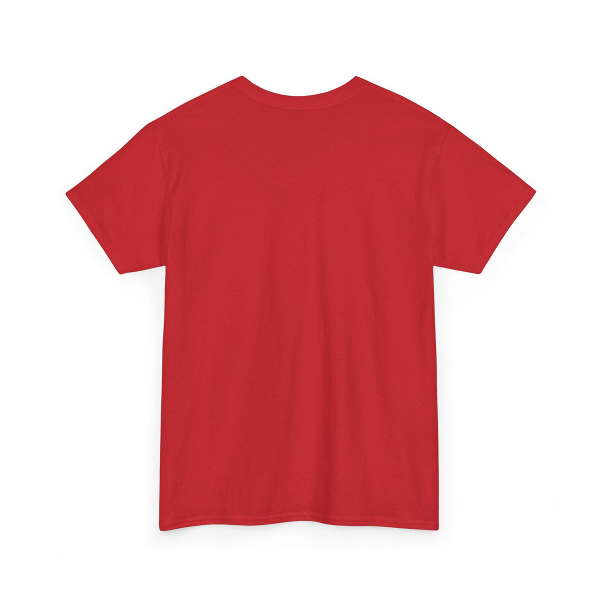 Rare Lab Brush Stroke American Flag tee: faded brush stroke logo in flag colors across the chest