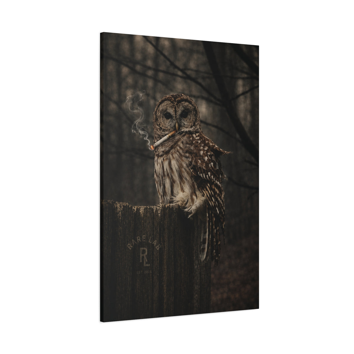 Rare Lab Smoke & Stillness matte canvas: a barred owl on a weathered post with a thin trail of smoke against the dark