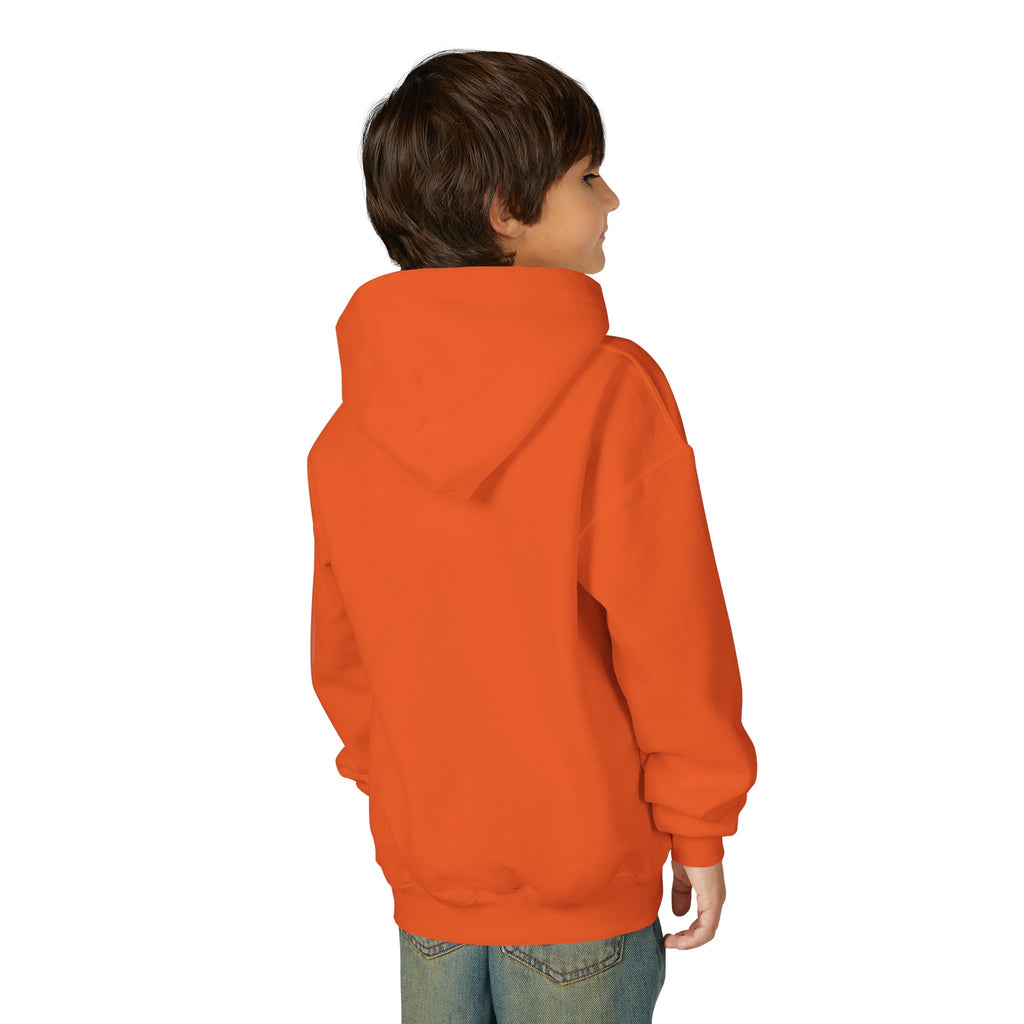 Rare Lab youth hoodie: small Rare Lab owl logo on the chest