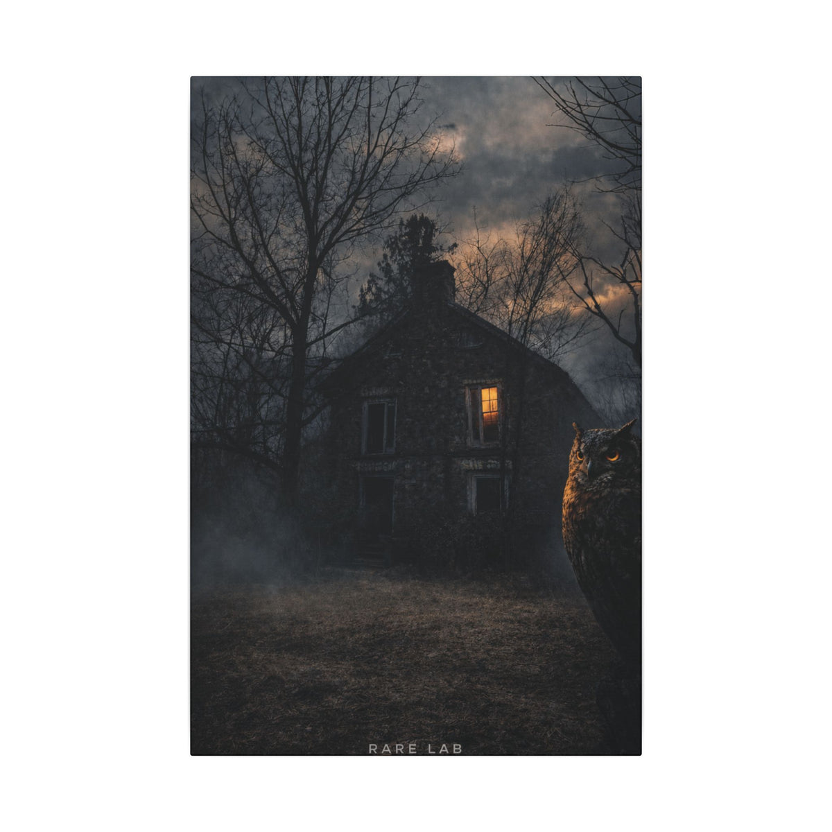 Rare Lab Night Watch canvas: a dark house with one warm window, framed by bare trees at night