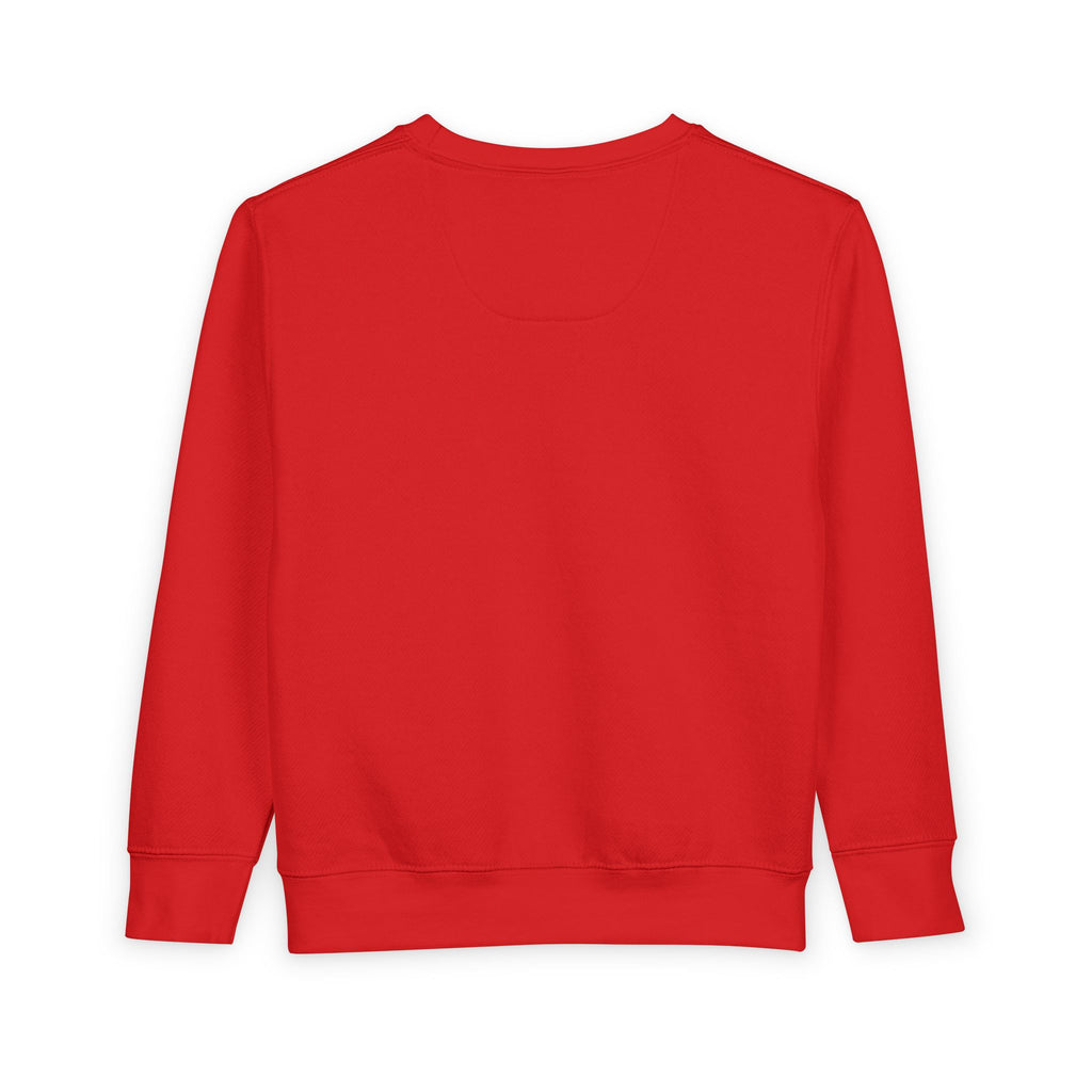 Rare Lab Brush Stroke toddler sweatshirt: Rare Lab script across the chest