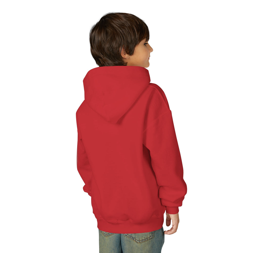 Rare Lab youth hoodie: small Rare Lab owl logo on the chest