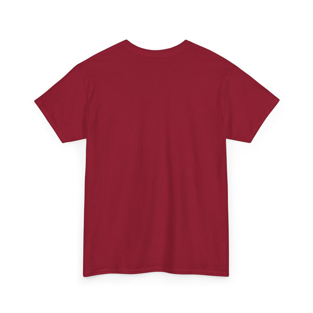 Rare Lab Brush Stroke American Flag tee: faded brush stroke logo in flag colors across the chest