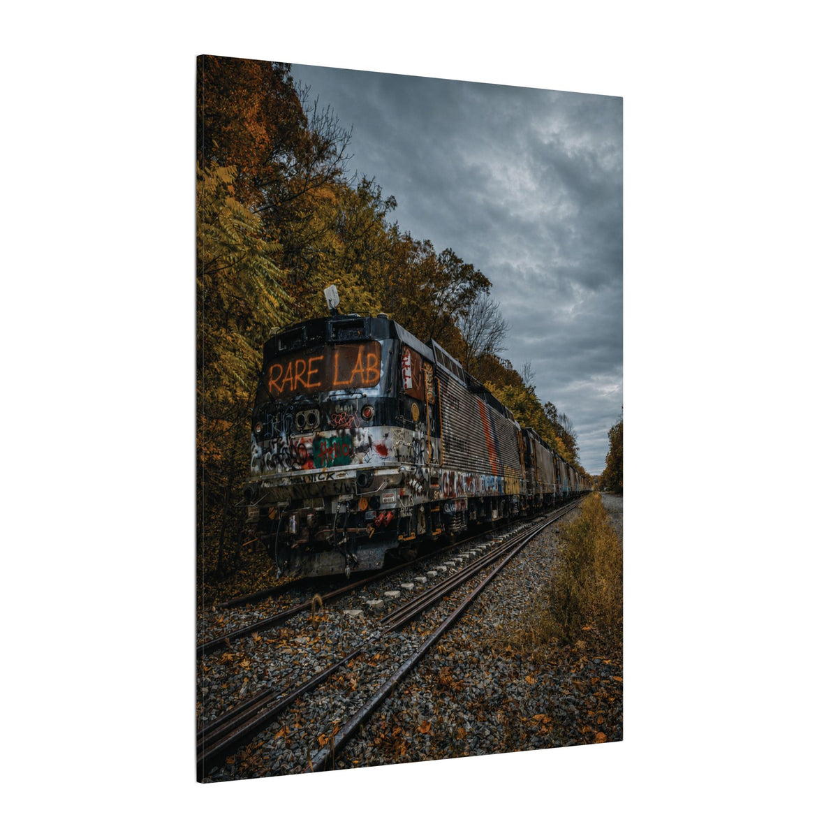 Rare Lab Graffiti Train canvas: a graffiti-covered train under a brooding sky with golden autumn trees
