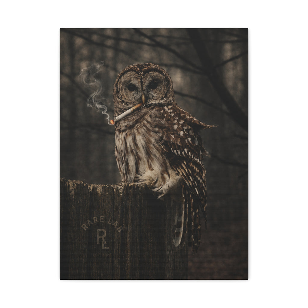 Rare Lab Smoke & Stillness matte canvas: a barred owl on a weathered post with a thin trail of smoke against the dark