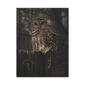 Rare Lab Smoke & Stillness matte canvas: a barred owl on a weathered post with a thin trail of smoke against the dark