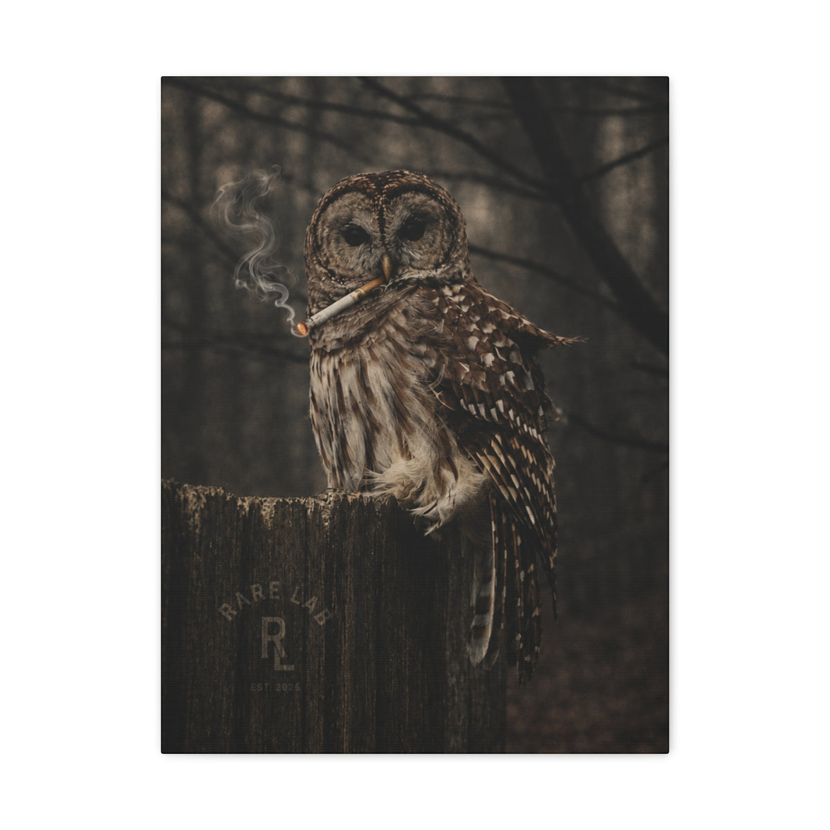 Rare Lab Smoke & Stillness matte canvas: a barred owl on a weathered post with a thin trail of smoke against the dark