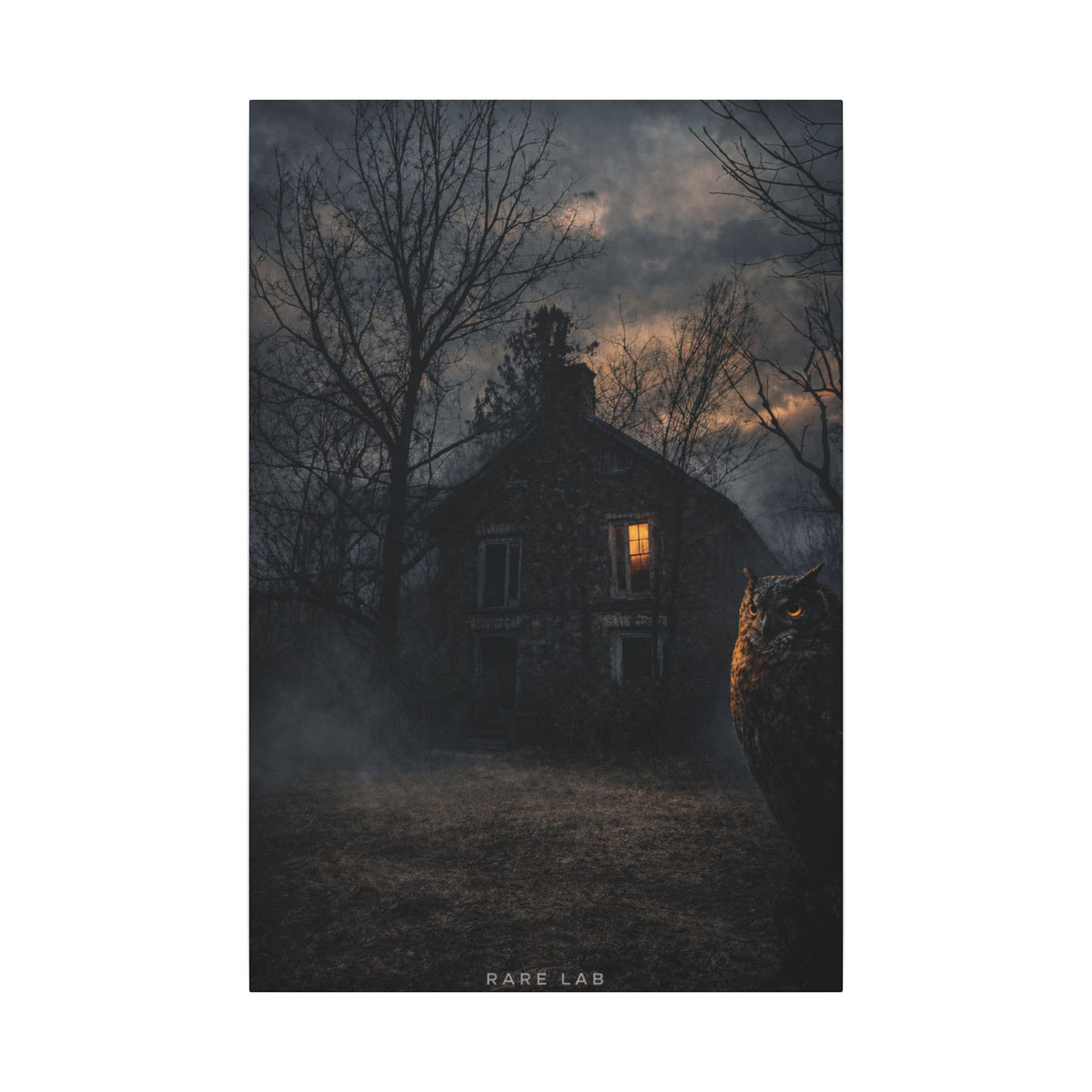 Rare Lab Night Watch canvas: a dark house with one warm window, framed by bare trees at night