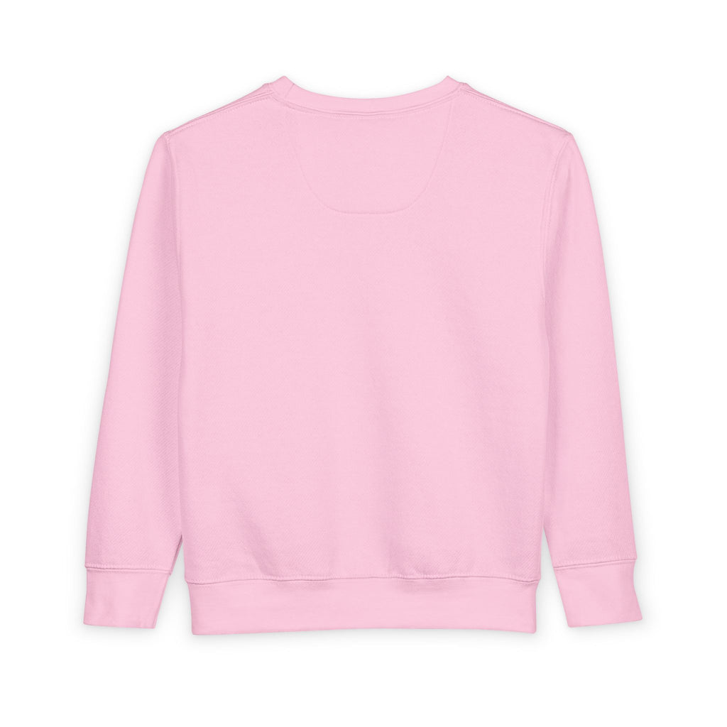 Rare Lab Brush Stroke toddler sweatshirt: Rare Lab script across the chest