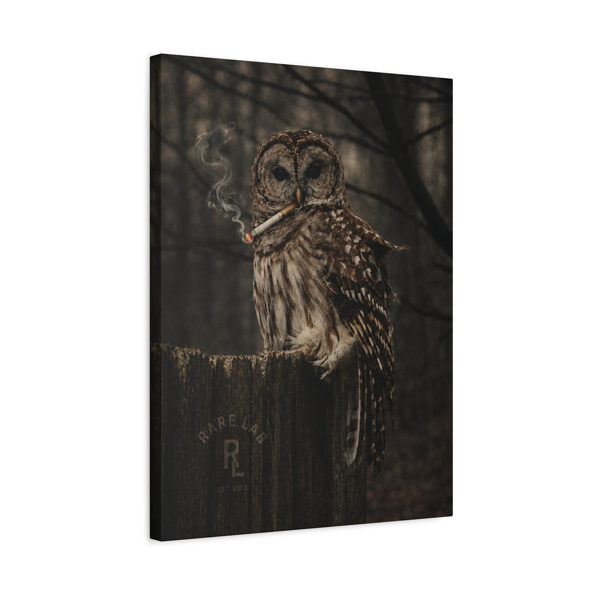 Rare Lab Smoke & Stillness matte canvas: a barred owl on a weathered post with a thin trail of smoke against the dark
