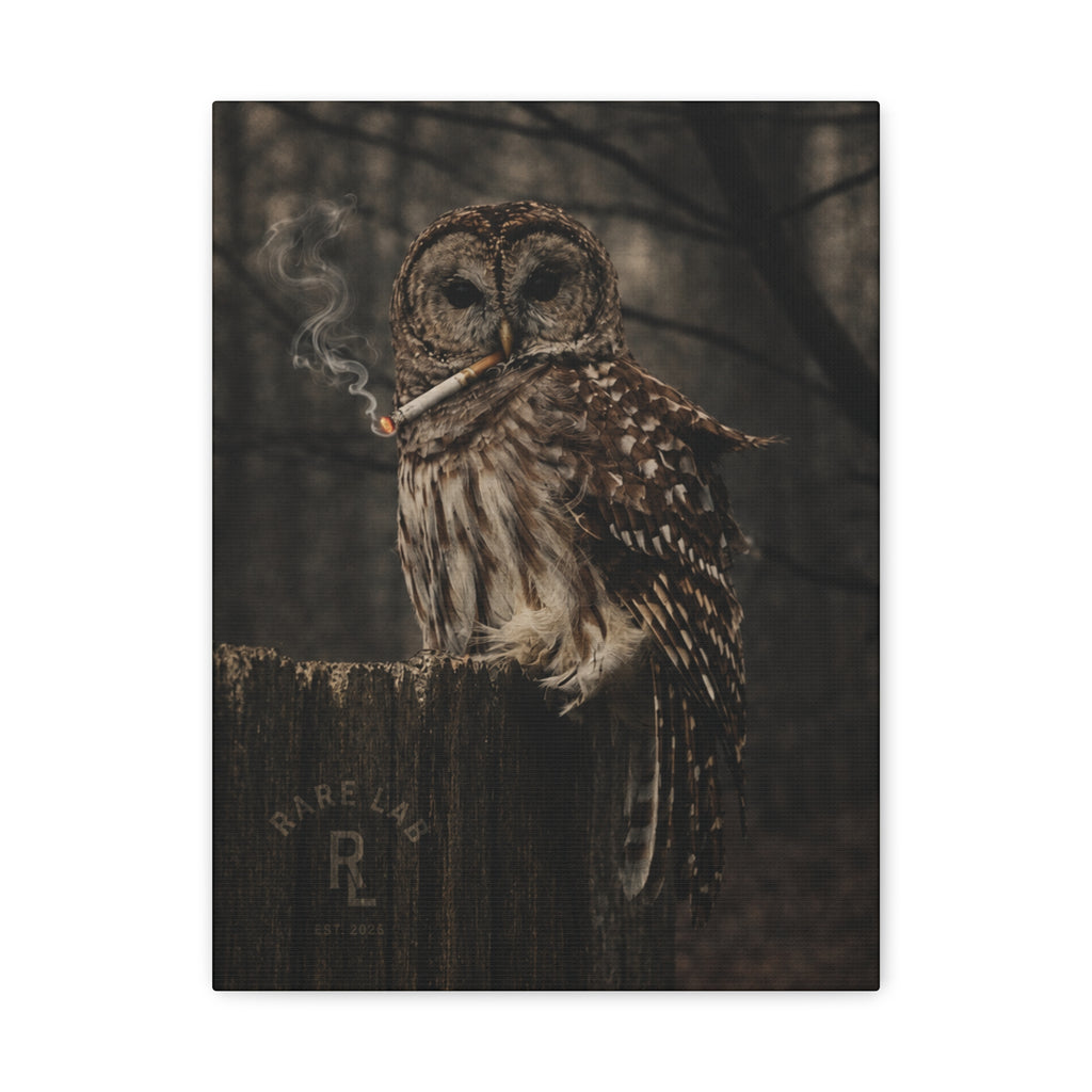 Rare Lab Smoke & Stillness matte canvas: a barred owl on a weathered post with a thin trail of smoke against the dark