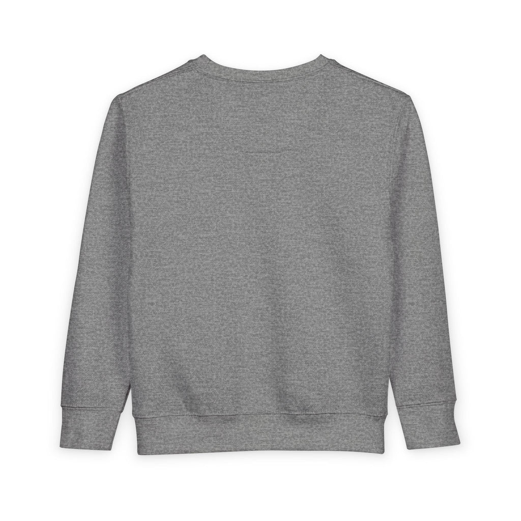 Rare Lab Brush Stroke toddler sweatshirt: Rare Lab script across the chest