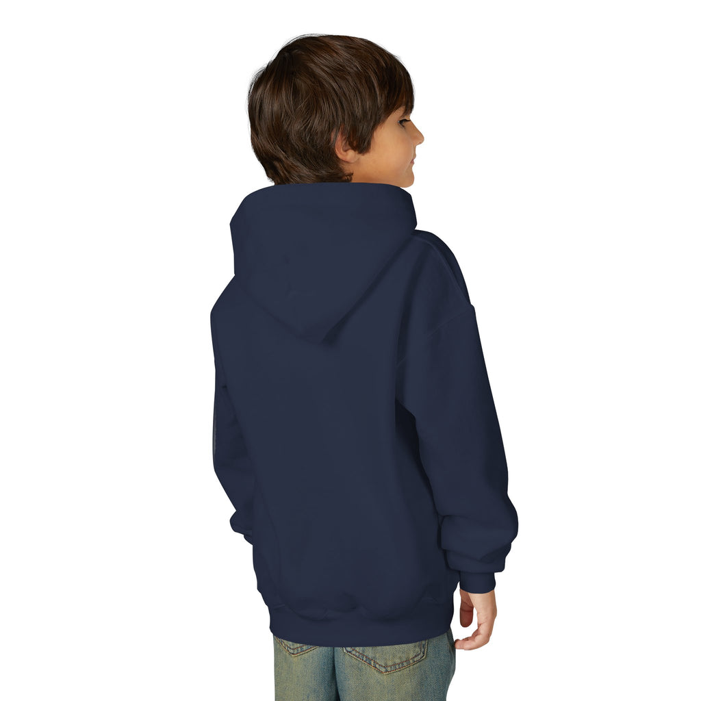 Rare Lab youth hoodie: small Rare Lab owl logo on the chest