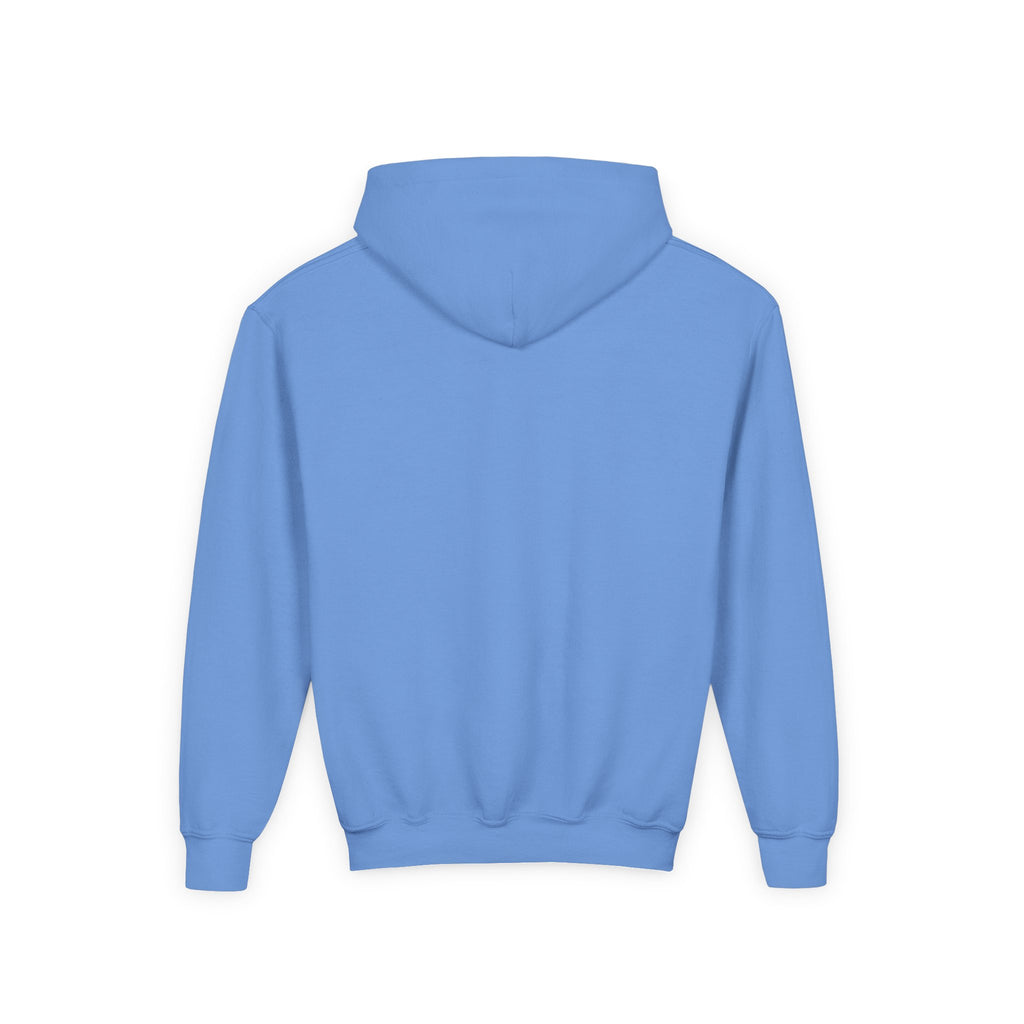 Rare Lab youth hoodie: small Rare Lab owl logo on the chest