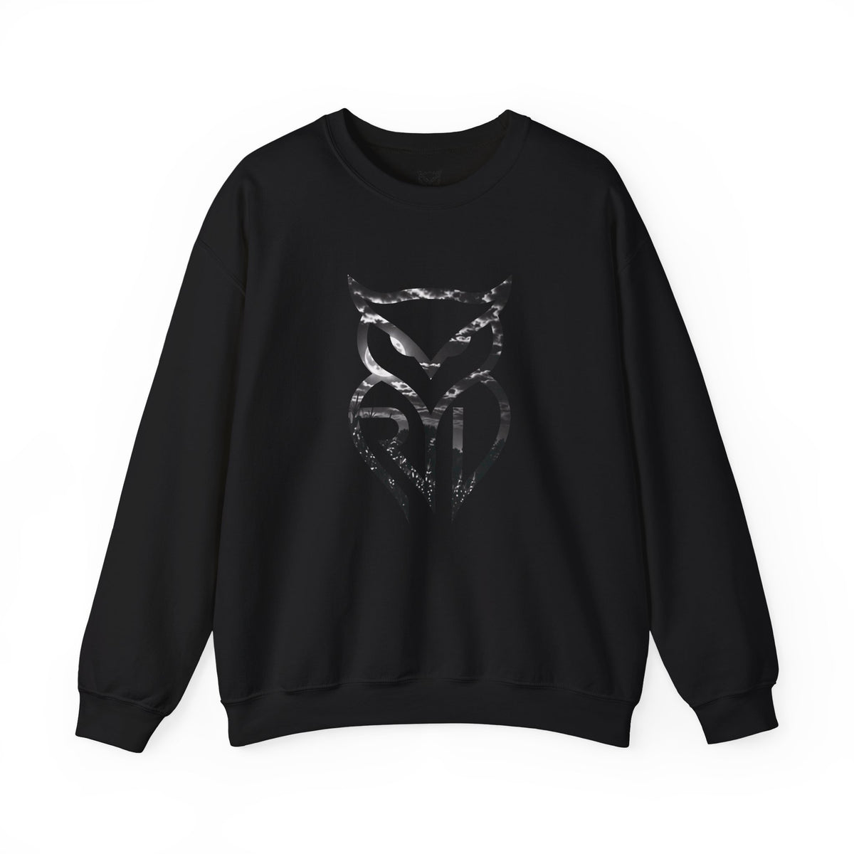 Rare Lab Midnight Owl crewneck in Black: large night-sky owl on the front, C10 truck under a full moon on the back