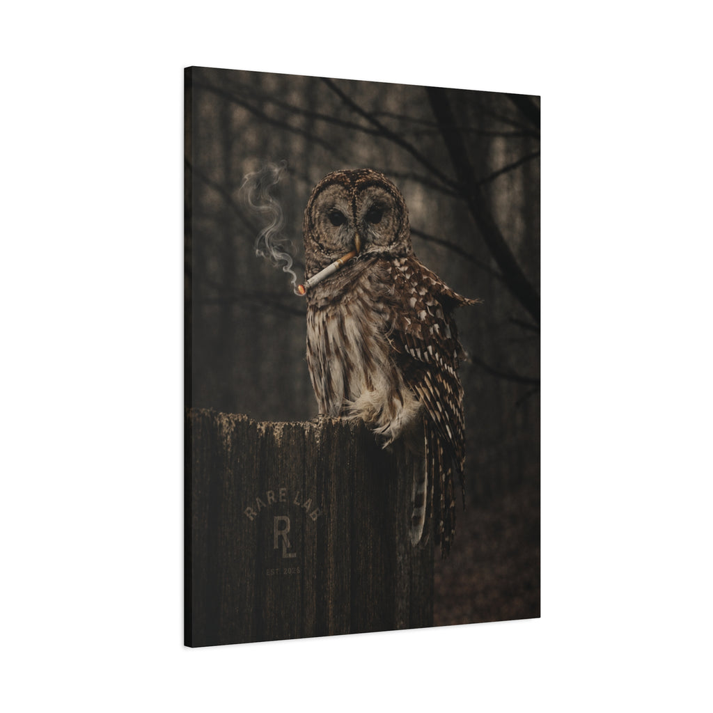 Rare Lab Smoke & Stillness matte canvas: a barred owl on a weathered post with a thin trail of smoke against the dark