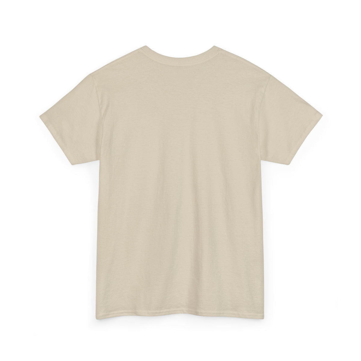 Rare Lab Brush Stroke American Flag tee: faded brush stroke logo in flag colors across the chest