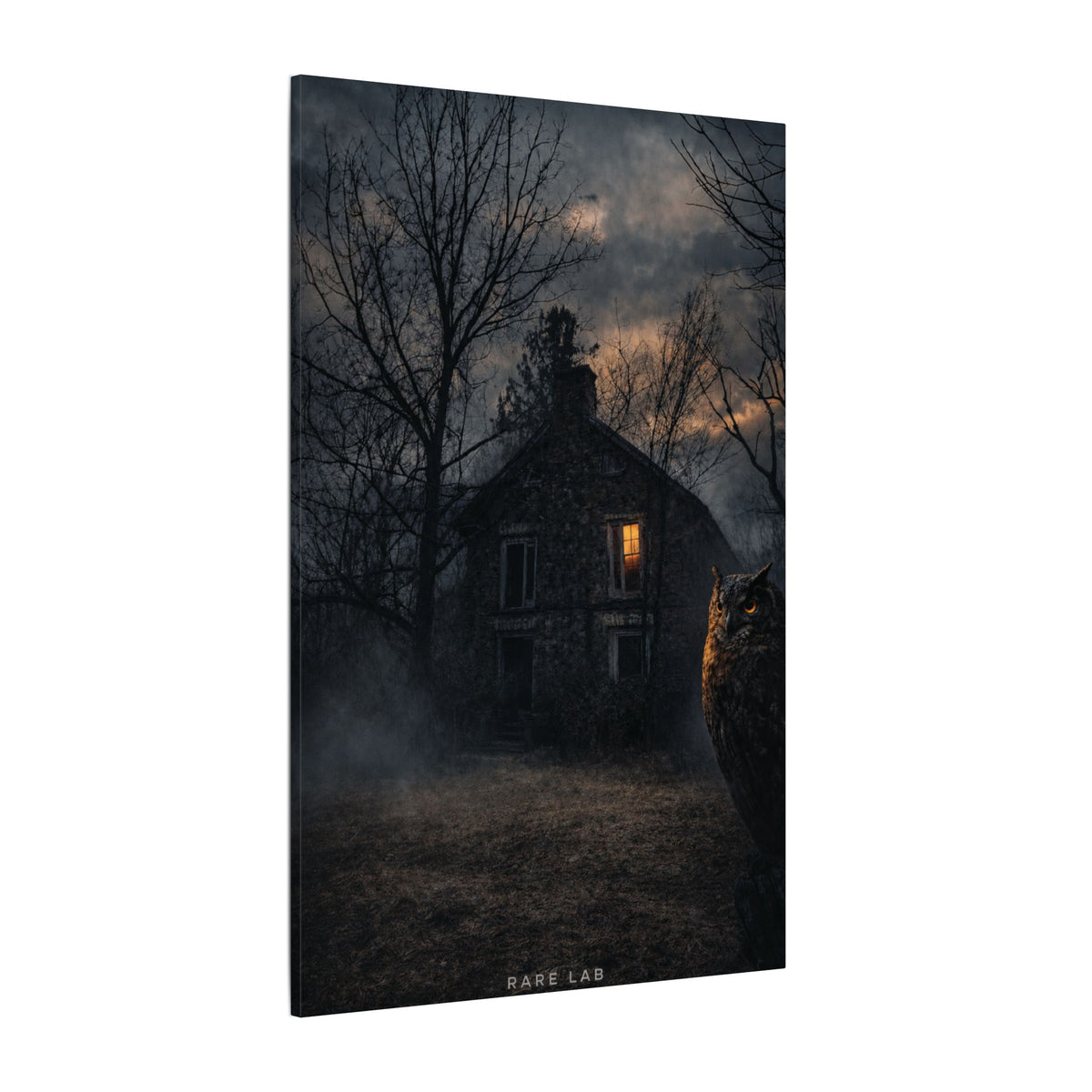Rare Lab Night Watch canvas: a dark house with one warm window, framed by bare trees at night