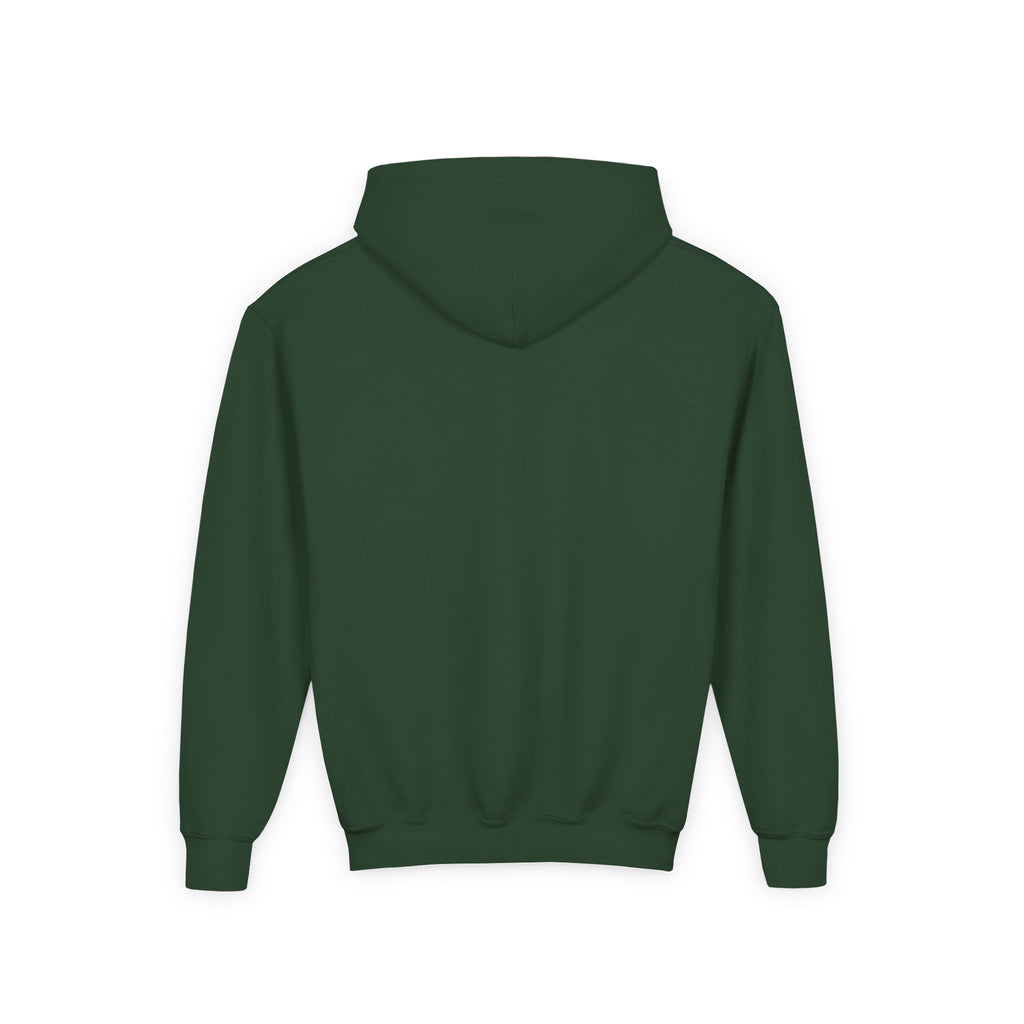 Rare Lab youth hoodie: small Rare Lab owl logo on the chest