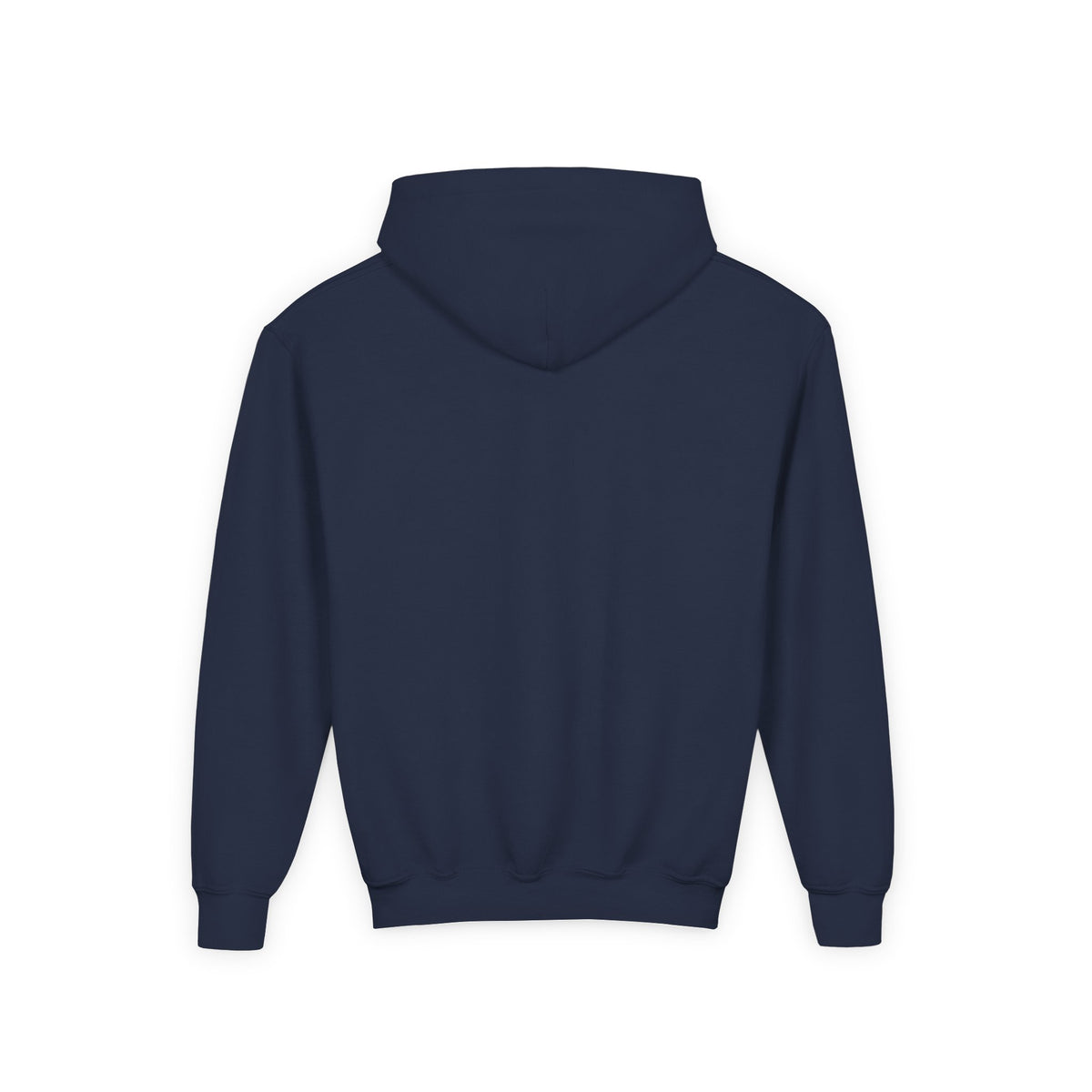 Rare Lab youth hoodie: small Rare Lab owl logo on the chest