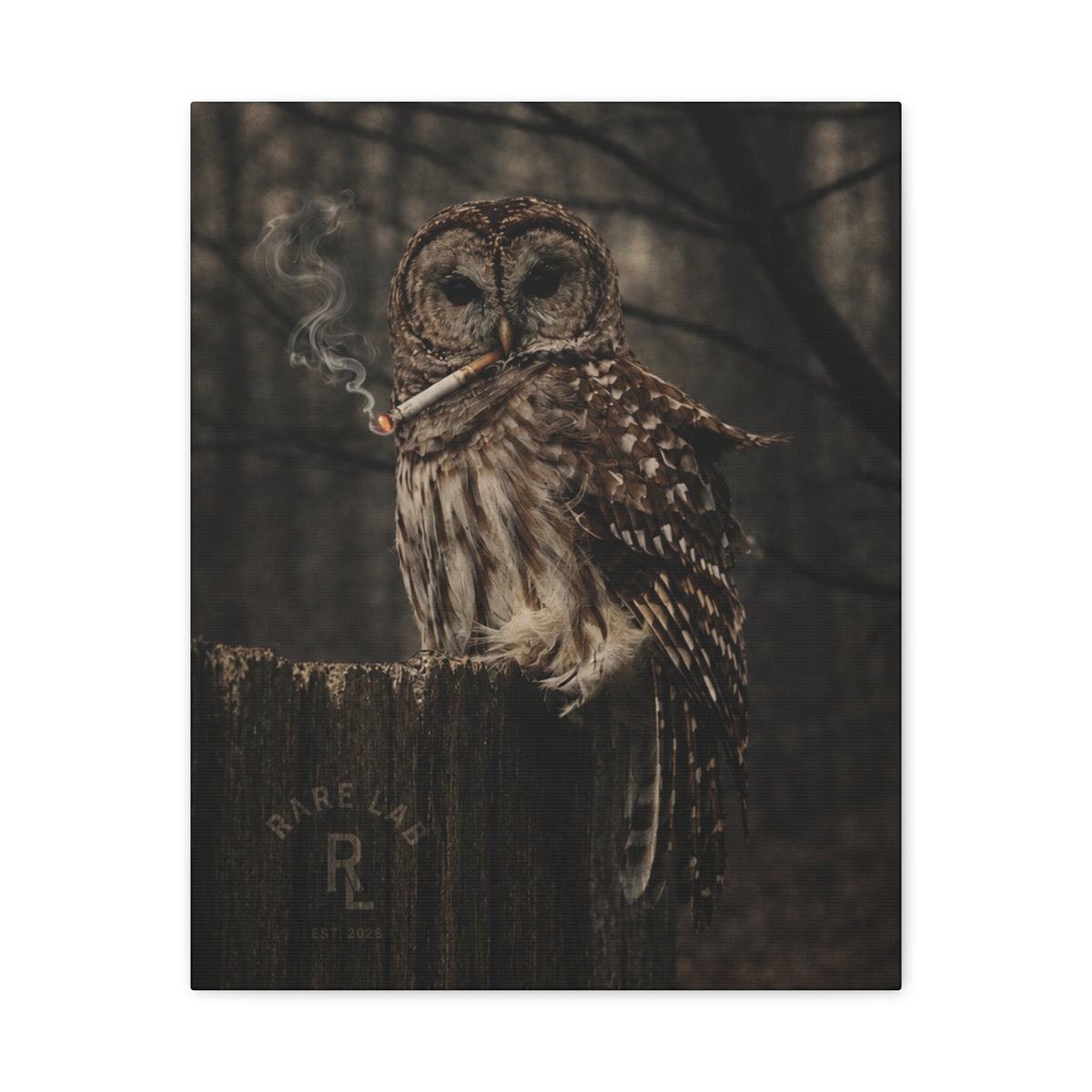 Rare Lab Smoke & Stillness matte canvas: a barred owl on a weathered post with a thin trail of smoke against the dark