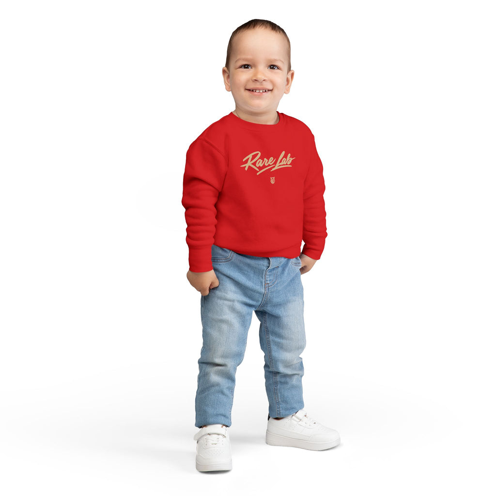 Rare Lab Brush Stroke toddler sweatshirt: Rare Lab script across the chest