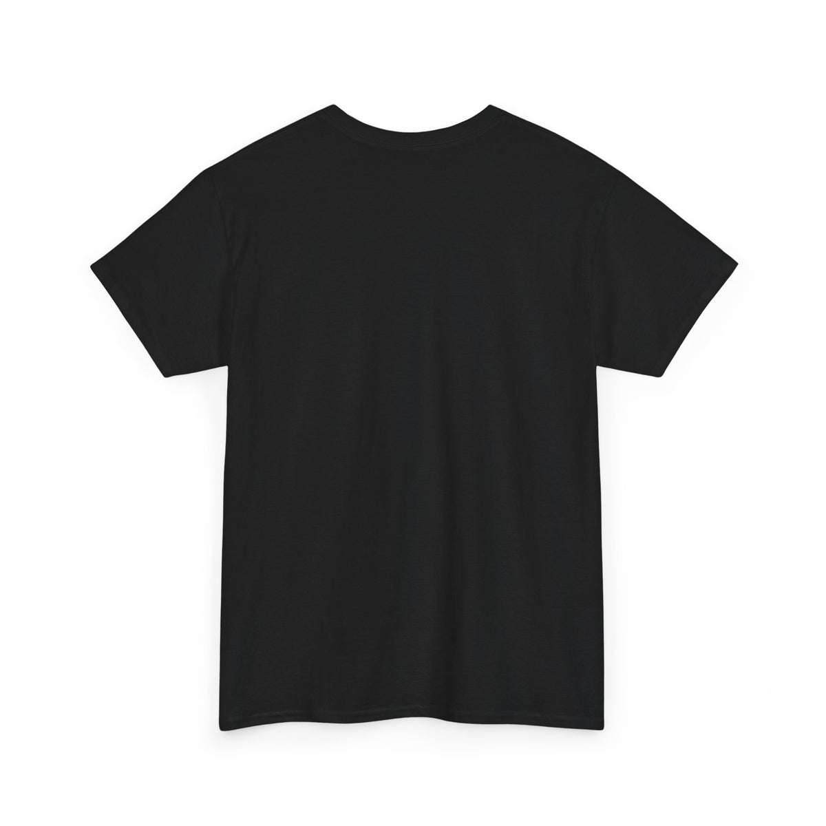 Rare Lab Brush Stroke American Flag tee: faded brush stroke logo in flag colors across the chest