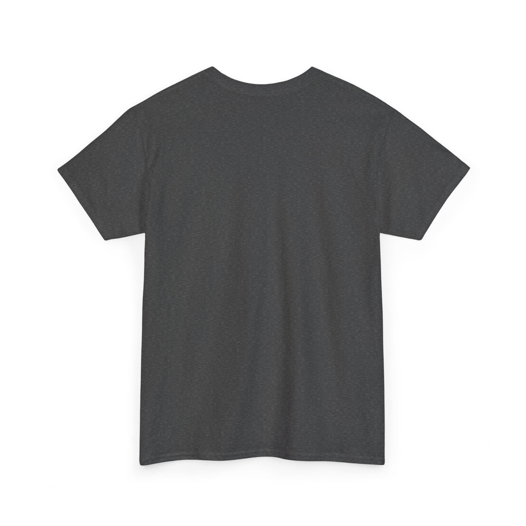 Rare Lab Brush Stroke American Flag tee: faded brush stroke logo in flag colors across the chest