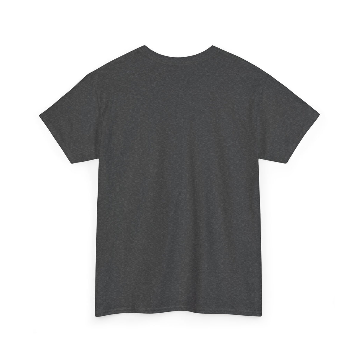Rare Lab Brush Stroke American Flag tee: faded brush stroke logo in flag colors across the chest