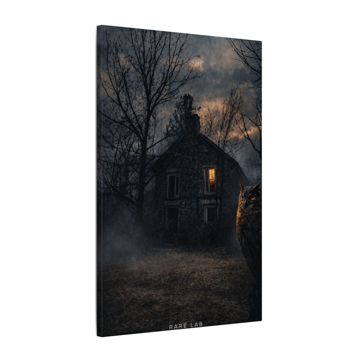 Rare Lab Night Watch canvas: a dark house with one warm window, framed by bare trees at night