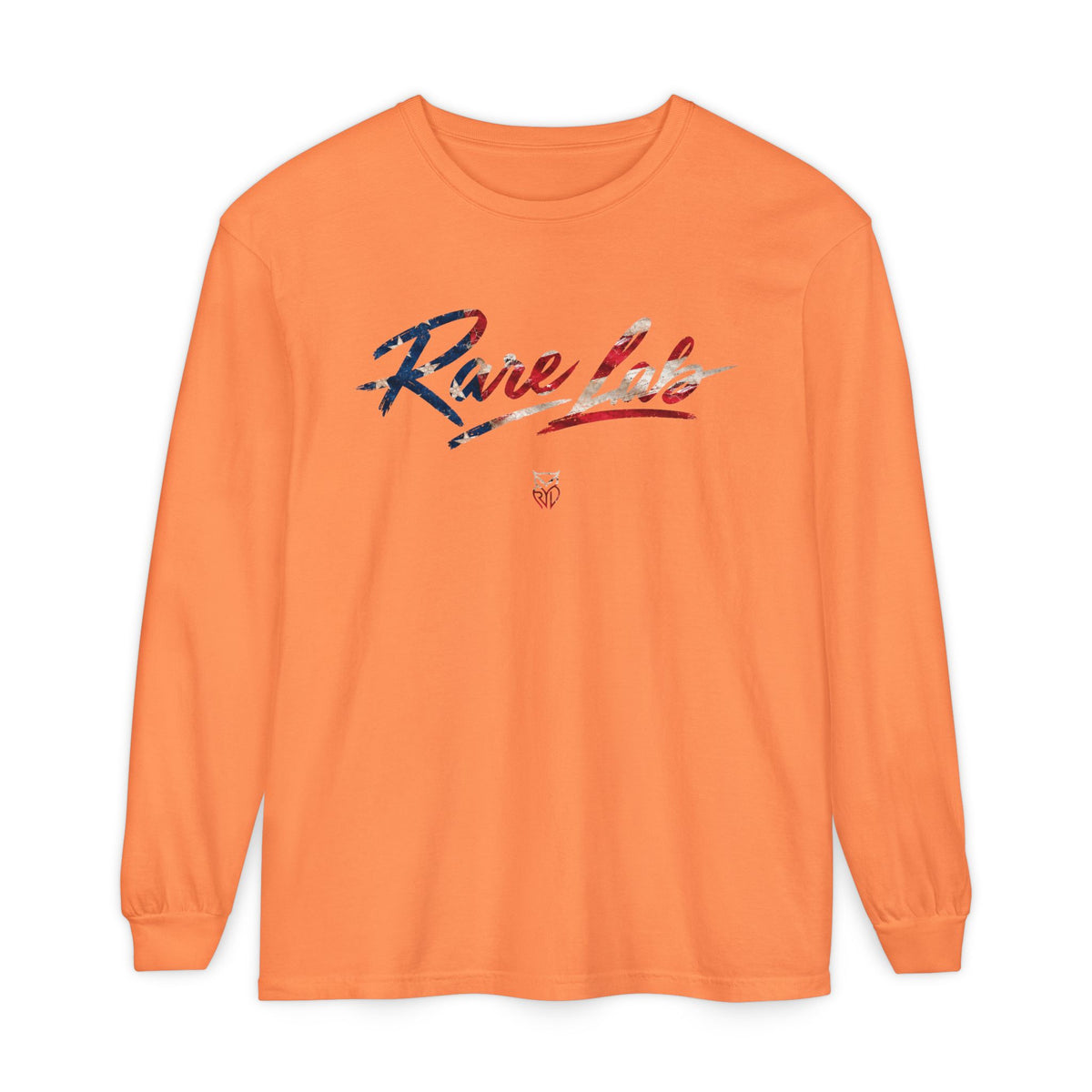 Rare Lab Brush Stroke American Flag long sleeve tee: brush stroke flag script across the chest