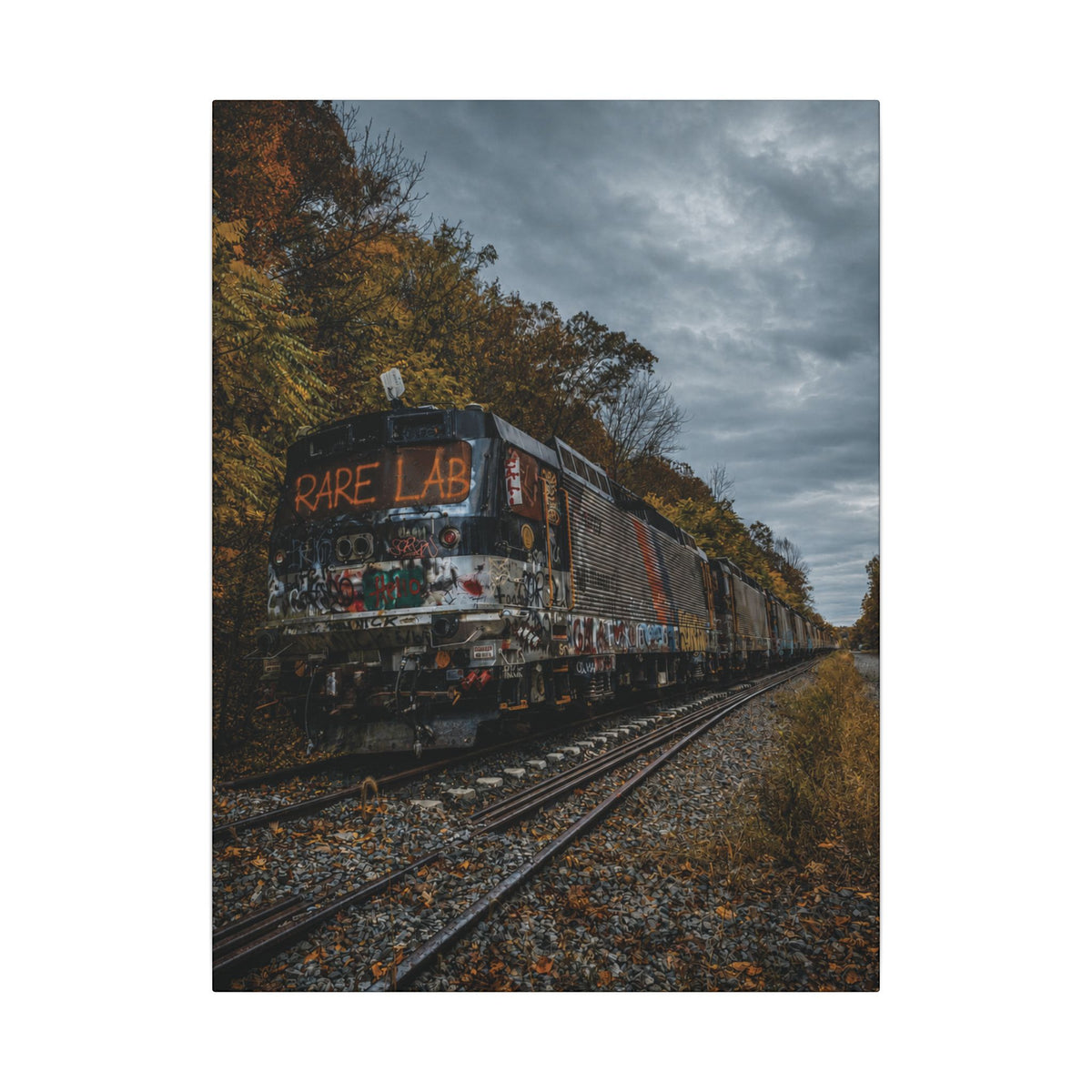 Rare Lab Graffiti Train canvas: a graffiti-covered train under a brooding sky with golden autumn trees