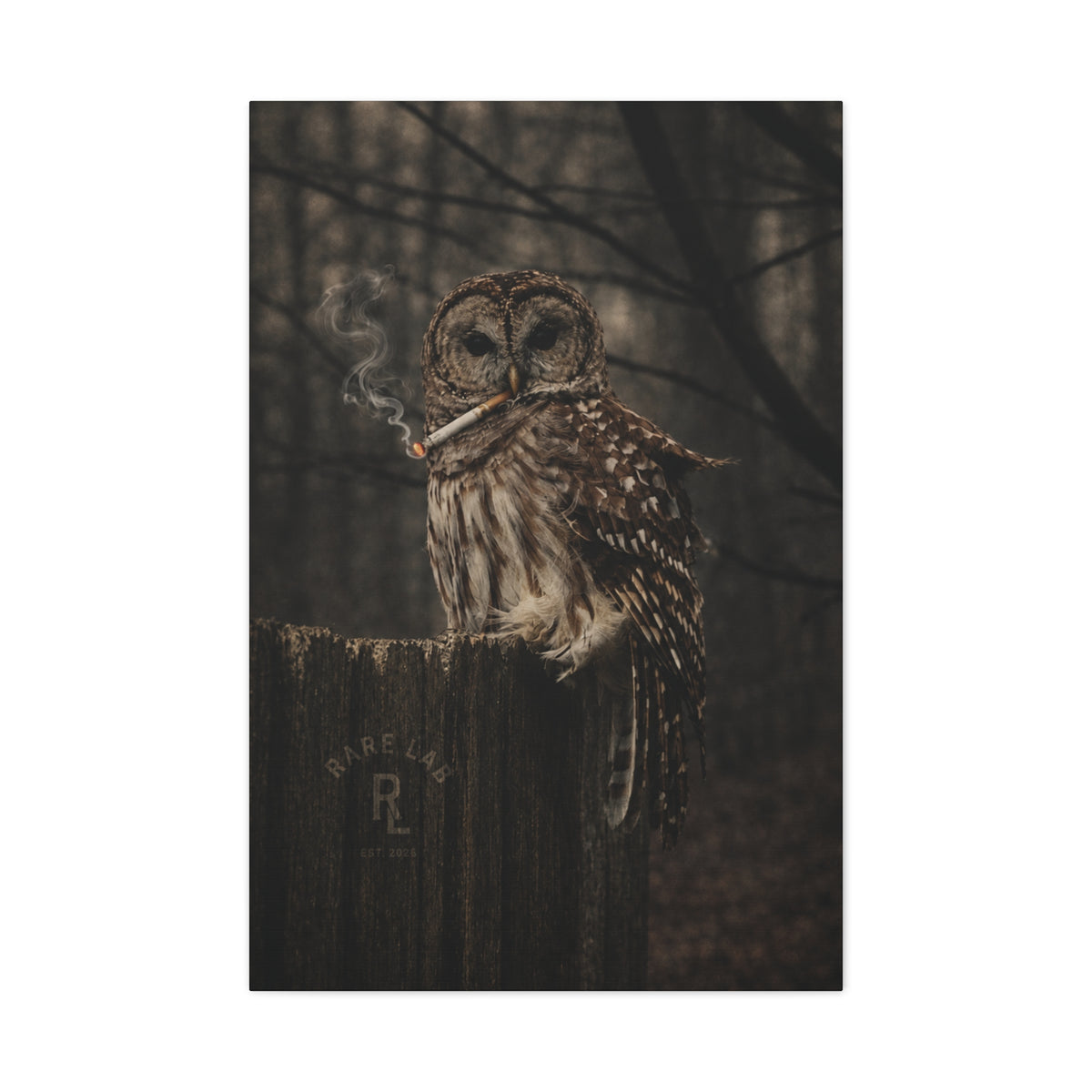 Rare Lab Smoke & Stillness matte canvas: a barred owl on a weathered post with a thin trail of smoke against the dark
