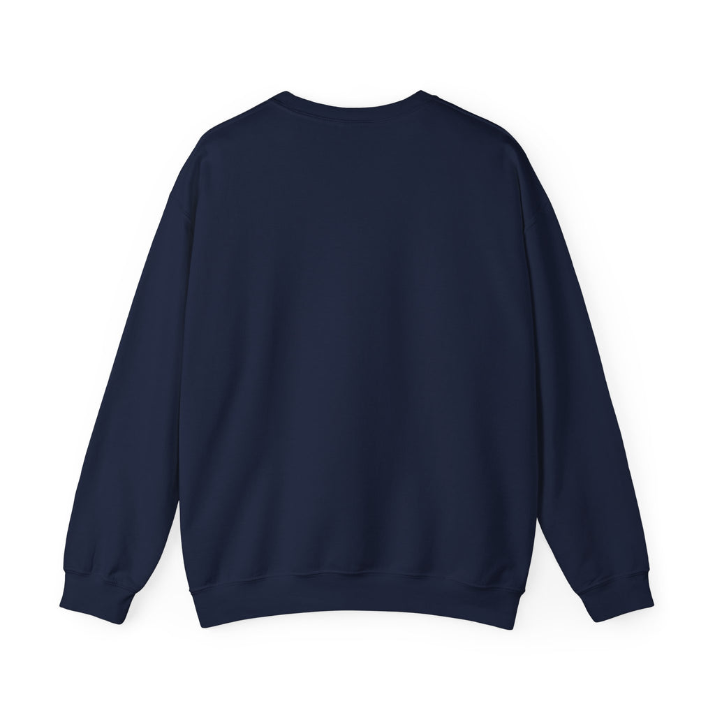 Rare Lab Owl Lantern embroidered crewneck sweatshirt with a small embroidered Rare Lab owl jack-o'-lantern on the chest