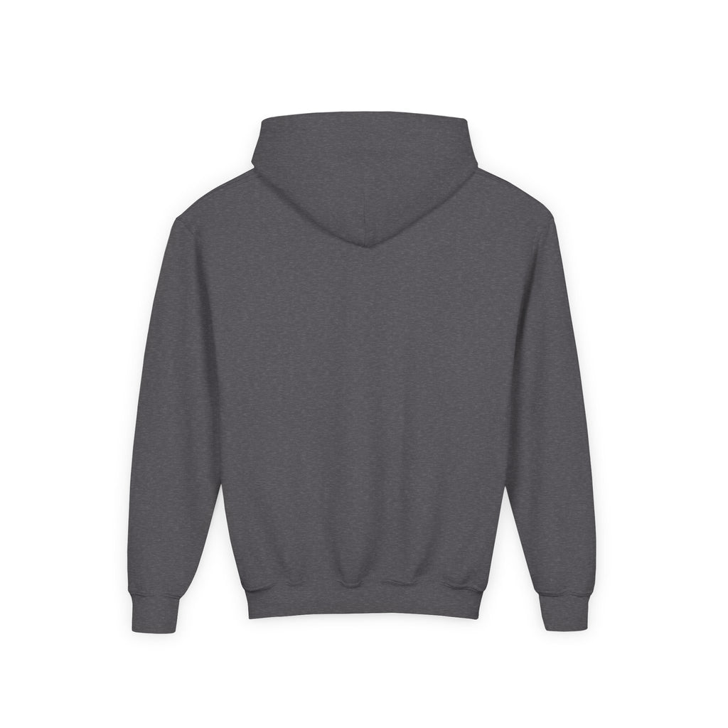 Rare Lab youth hoodie: small Rare Lab owl logo on the chest