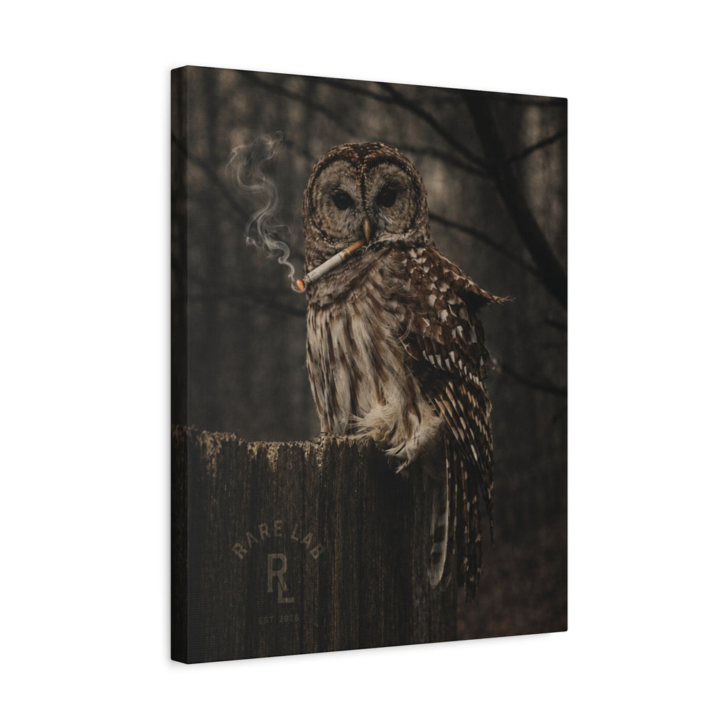 Rare Lab Smoke & Stillness matte canvas: a barred owl on a weathered post with a thin trail of smoke against the dark