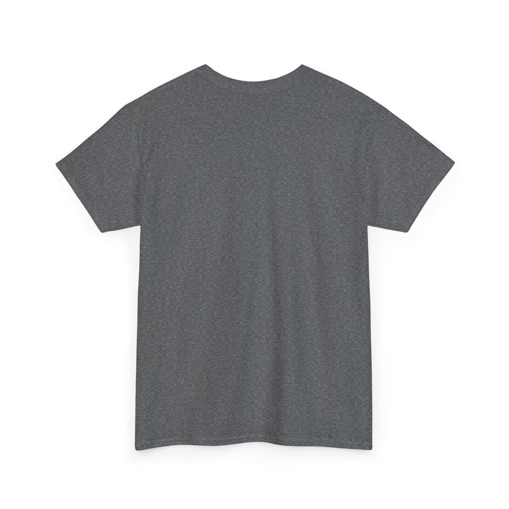 Rare Lab Brush Stroke American Flag tee: faded brush stroke logo in flag colors across the chest