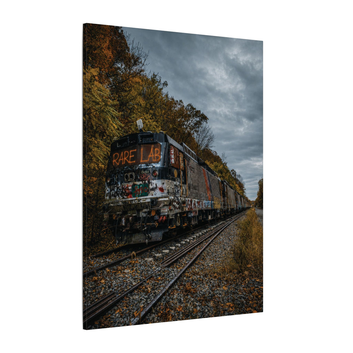 Rare Lab Graffiti Train canvas: a graffiti-covered train under a brooding sky with golden autumn trees