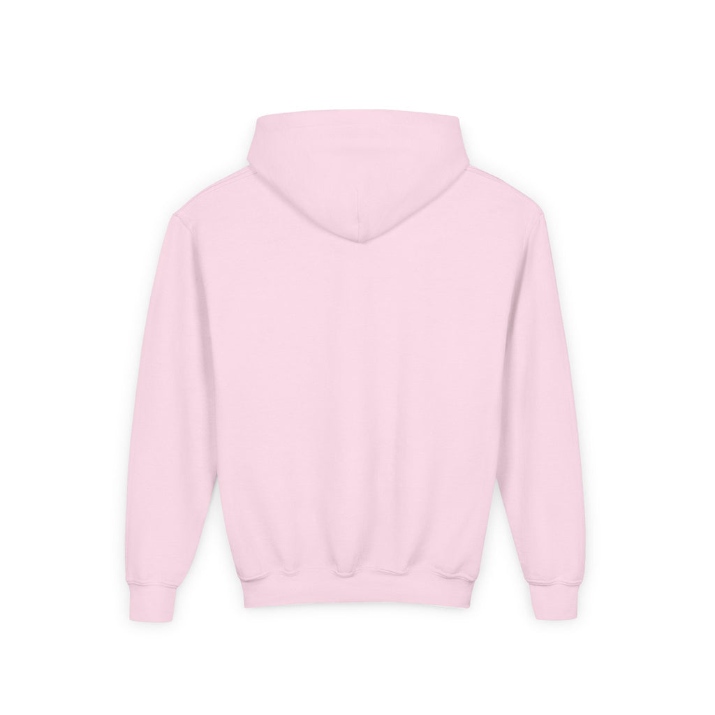 Rare Lab youth hoodie: small Rare Lab owl logo on the chest