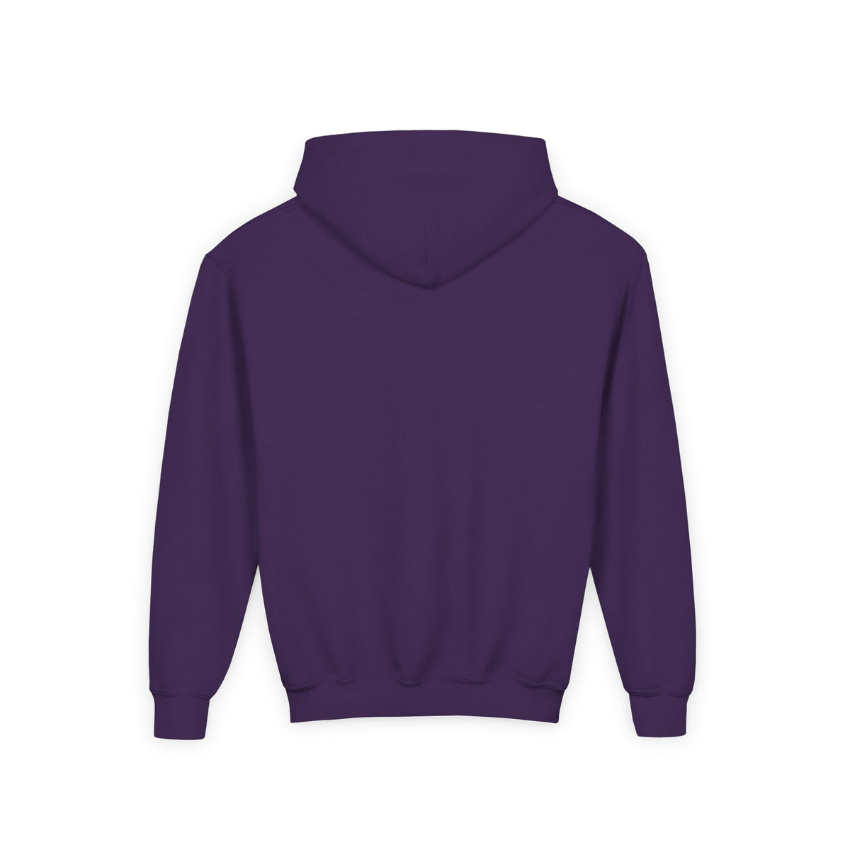 Rare Lab youth hoodie: small Rare Lab owl logo on the chest