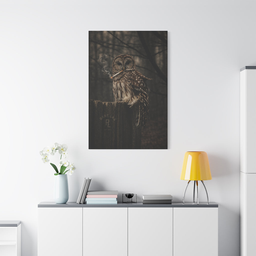 Rare Lab Smoke & Stillness matte canvas: a barred owl on a weathered post with a thin trail of smoke against the dark